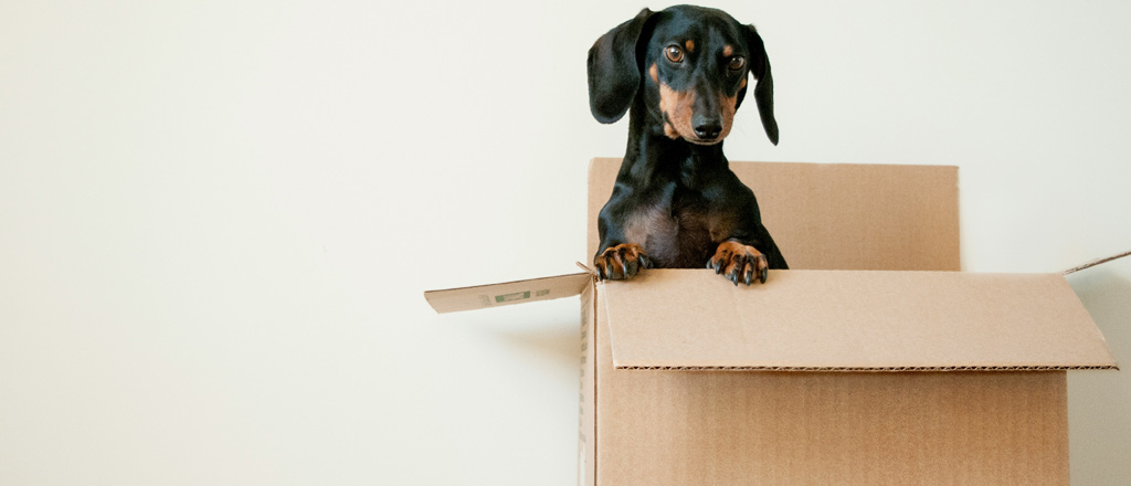 If the seller wants to sell their home fast in Spokane, it is good to know what closing date works for both parties.